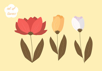 Obraz na płótnie Canvas a set of tulip flowers in red, yellow and white. Vector illustration EPS8
