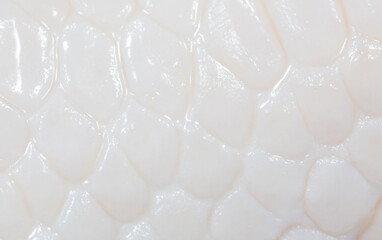 White chicken skin as a background.