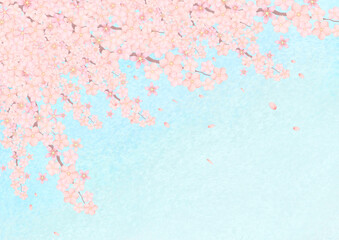 桜 花びらが舞う 青空の背景