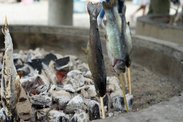 grilled fish