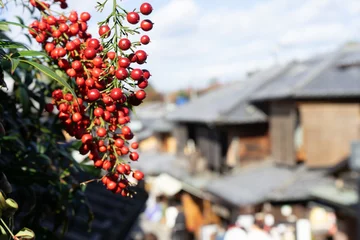 Fotobehang berry in kyoto © rikipaix0206