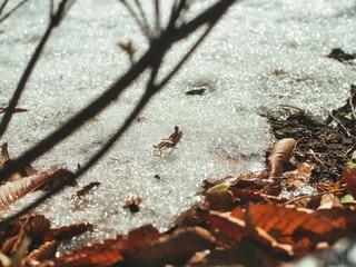 冬の雪山でバカンスを楽しむ人