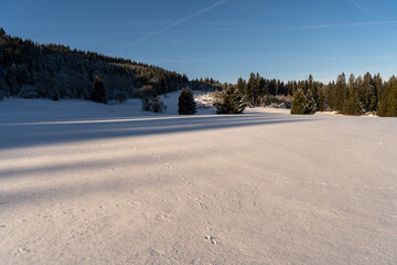 Im Schwarzwald beim Schluchsee