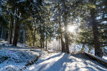 Im Schwarzwald beim Schluchsee