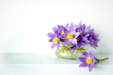 Bouquet spring violet flowers in vase. Primroses, Flowers sleepy grass, snowdrops, purple blue bells