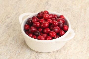 Ripe sweet tasty cranberry in the bowl