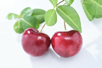 cherries on a white background