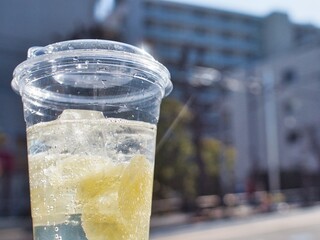 太陽の光に照らされるレモンスカッシュ