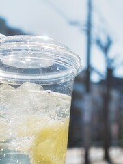 太陽の光に照らされるレモンスカッシュ