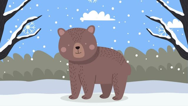 bear in snowscape winter season