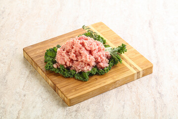 Raw pork minced meat for cooking