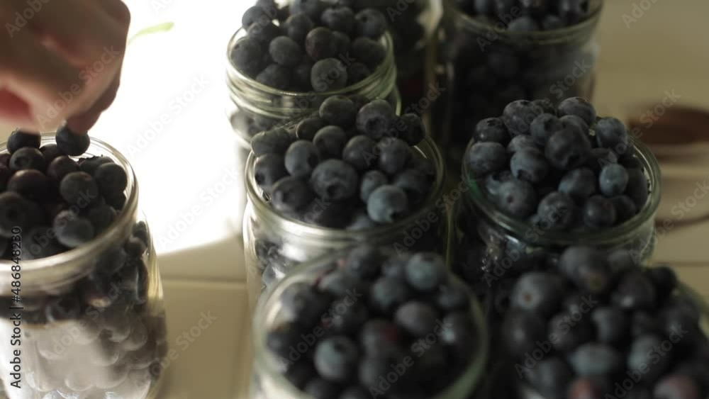 Wall mural Fresh blueberries. Berries are poured over. Useful vitamins