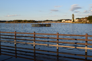 牛久沼(うしくぬま)/ 茨城県の牛久沼は小規模な漁業のほか、その水は主に農業用水として活用されています。また、週末などは多くの釣り人たちで賑わっています。沼に近い牛久市と同じ名前ですが、全域が龍ケ崎市の区域内です。