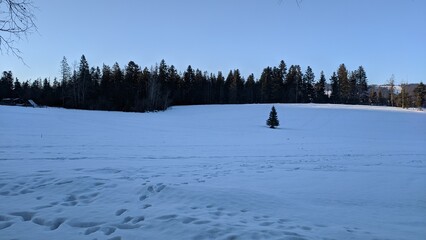 skiing in the mountains