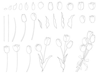 チューリップの花のセット_黒線画