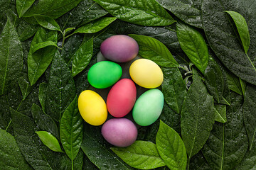 Fototapeta na wymiar multicolored bright eggs on green leaves, flat view