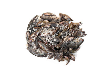 Salted fish isolated on white background (Pla Ra).