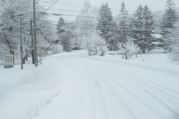 雪が降り積もった道と電線