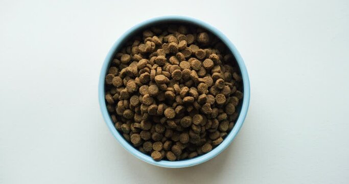 The pet bowl is filled with dry food. Stop motion animation