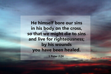 Bible verse quote - Him himself bore our sins in his body on the cross, so that we might die to...