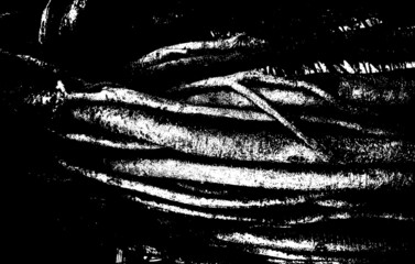 Black and white vector texture of dense thickets. Deep intertwined roots of old trees. Abstract overlay layer used for 3D design