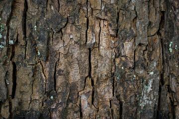texture