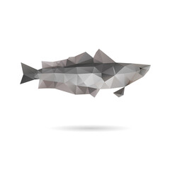 Abstract hake fish isolated on a white backgrounds