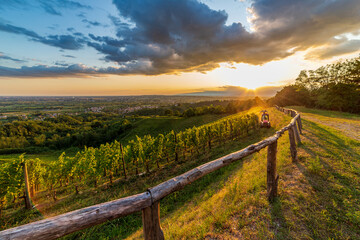 Colorful sunset in the vineyards of Savorgnano del Torre