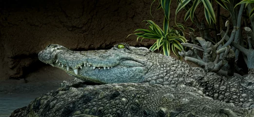 Deurstickers crocodile © Chris