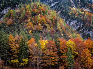 Herbstfarben in den Dolomiten Campanile di val montanaia Berge