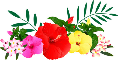 トロピカルなハイビスカスとプルメリアとヤシの葉のイラスト