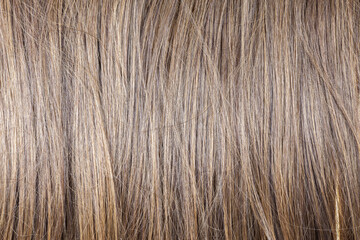 Healthy brown hair of a young woman on white background.