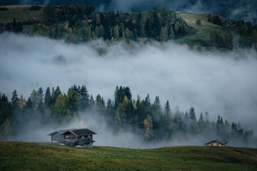 Fototapeta premium Seiser alm alpe di siusi nebel 