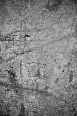 Old wood background.