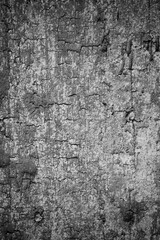 Old wood background.