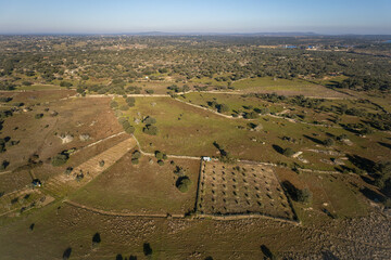 Aerial landscape near Arroyo de la Luz. Extremadura. Spain.