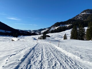 Fototapeta na wymiar Local mountain road under fresh snow winter cover in a gentle alpine valley at the foot of the Alpstein mountain in the Appenzell Alps massif - Switzerland (Schweiz)