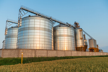 silver silos on agro manufacturing plant for processing drying cleaning and storage of agricultural products, flour, cereals and grain. Large iron barrels of grain. Granary elevator