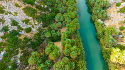 amazing beaches of Greece series -preveli (Crete)