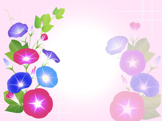 リアルな沢山の花と蕾がある朝顔のイラスト