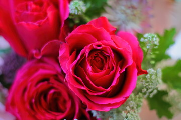 Closeup of a bouquet with red roses.