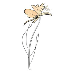 Creative modern design. Watercolor flower. Vector illustration.