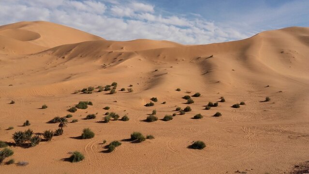 sand dunes in the desert of Algeria ( taghit )