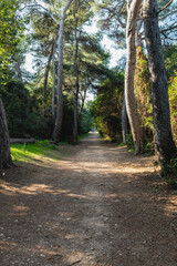 Fototapeta premium Visiting The islands of lerins: Saint Marguerite Island, In front of Cannes, South of France