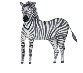 Obraz premium Zebra watercolor print