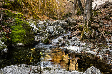 Naklejka na ściany i meble Mountain river with clear, fresh water, flowing at the base of the mountain, among rocks covered with green moss. Natural elements.