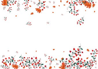 Pink Herb Background White Vector. Leaf Autumn Card. Red Berries Gradation. Material Texture. Rowan Symbol.