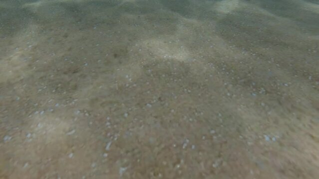 Ocean beach floor underwater sun rays seamless loop animation video footage. Full HD 30 fps, Background material for editing.