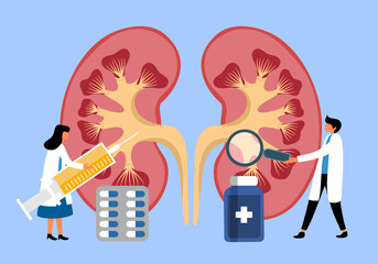 Awareness of kidney disease in flat design. Urination health problem vector illustration.