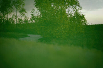 Foggy river banks with grass and birches. 3D render.